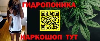 ГАЛЛЮЦИНОГЕННЫЕ ГРИБЫ Беслан