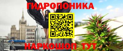 стафф Моздок