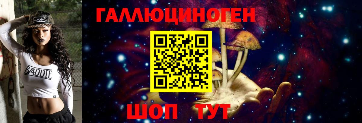 Псилоцибиновые грибы мицелий Знаменск